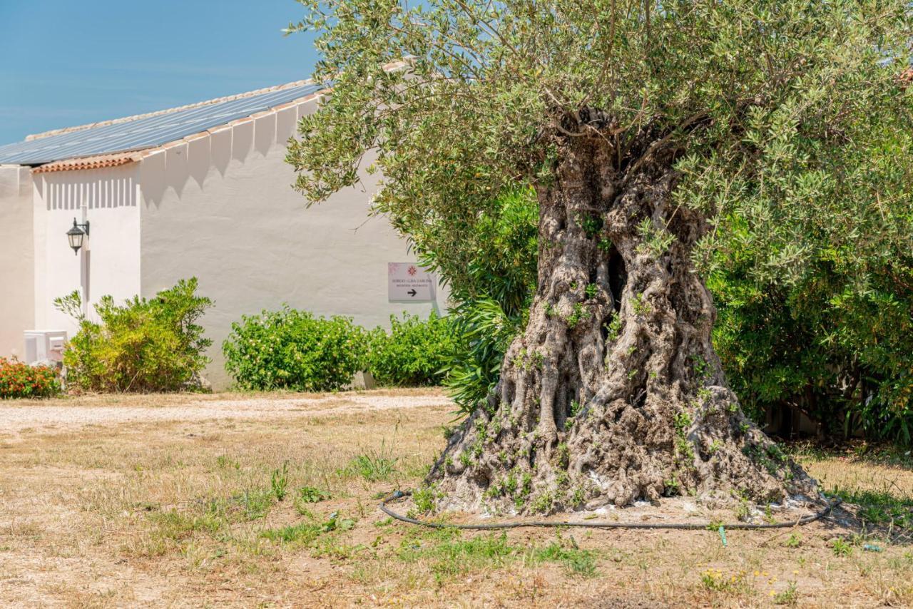 Borgo Alba Barona Turismo Rurale Golfo Aranci Exteriér fotografie